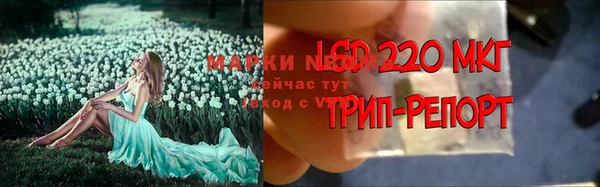 mdpv Елизово