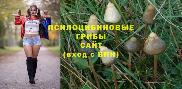 apvp Елабуга