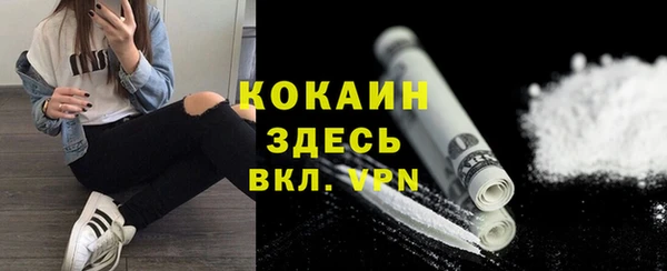 эйфоретик Ельня