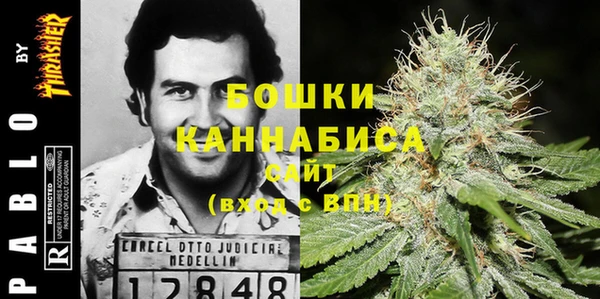 эйфоретик Ельня