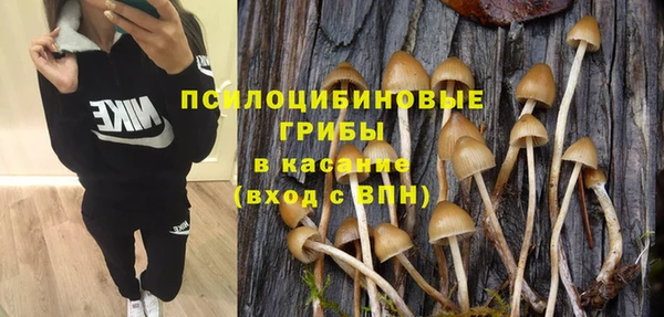 mdpv Елизово