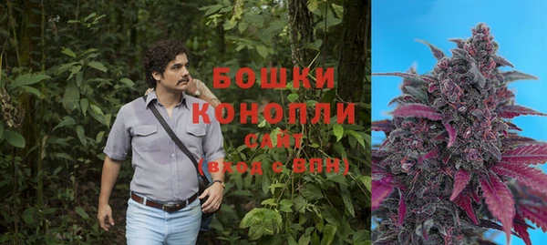 mdpv Елизово