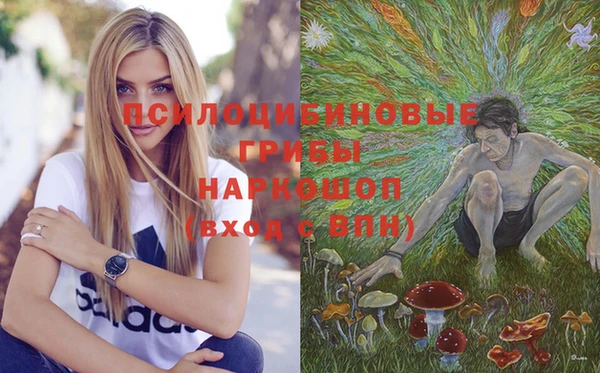 mdpv Елизово