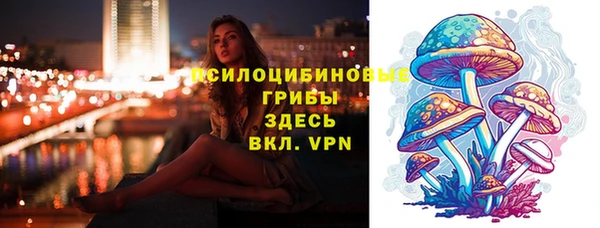 apvp Елабуга