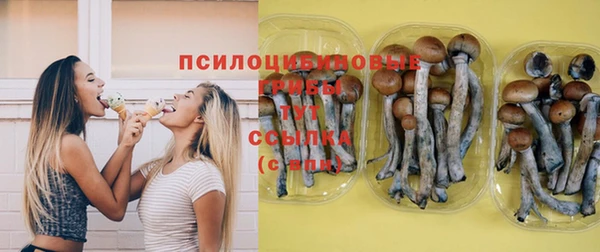 эйфоретик Ельня